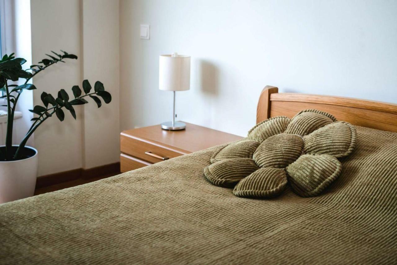 New Apartament Very Close To The City Centre Вильнюс Экстерьер фото