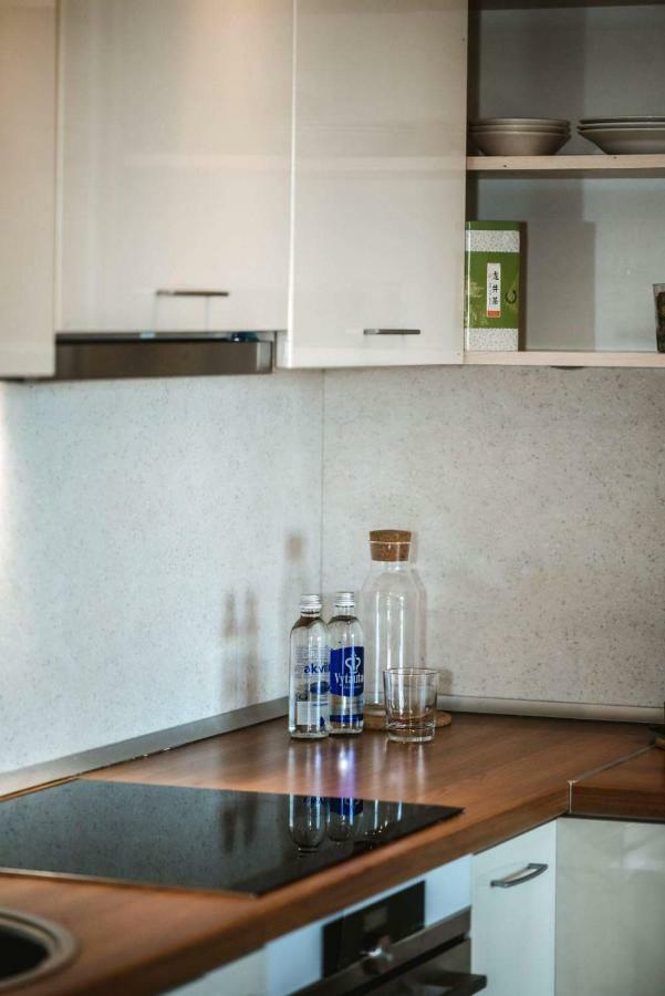 New Apartament Very Close To The City Centre Вильнюс Экстерьер фото